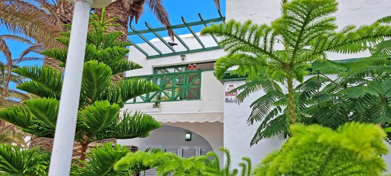 Ferienwohnung Palm Garden - Costa Calma - Pool - Glasfaserinternet المظهر الخارجي الصورة